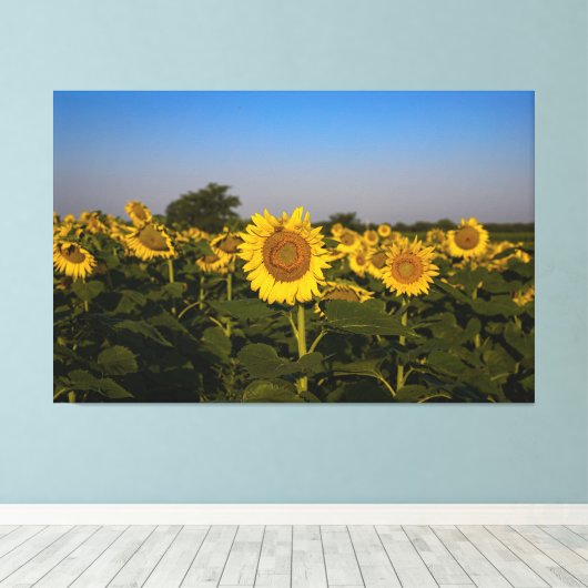 Blumenfeld Leinwanddruck (Insitu (Holzboden))