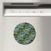 Blumenfeld...... Magnet (In Situ (Geschirrspüler))