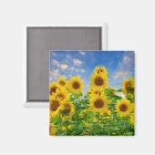 Blumenfeld Magnet (Vorderseite/Rückseite)