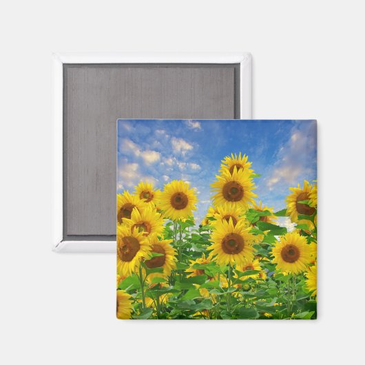 Blumenfeld Magnet (Vorderseite/Rückseite)