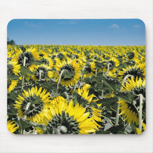 Blumenfeld Mousepad (Vorne)