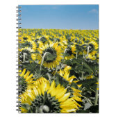 Blumenfeld Notizblock (Vorderseite)