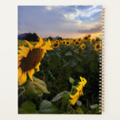 Blumenfeld Planer (Rückseite)