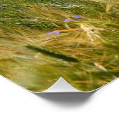 Blumenfeld Poster (Ecke)