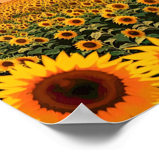 Blumenfeld Poster (Ecke)