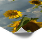 Blumenfeld Poster (Ecke)