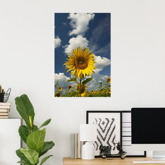 Blumenfeld Poster (Heimbüro)