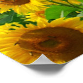 Blumenfeld Poster (Ecke)