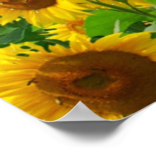 Blumenfeld Poster (Ecke)