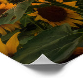 Blumenfeld Poster (Ecke)