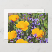 Blumenfeld Postkarte (Vorne/Hinten)
