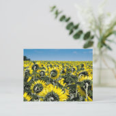 Blumenfeld Postkarte (Stehend Vorderseite)