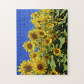 Blumenfeld Puzzle (Vertikal)