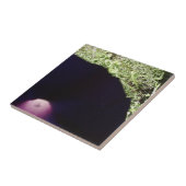 BlumenFoto-Keramik-Fliese Fliese (Seite)