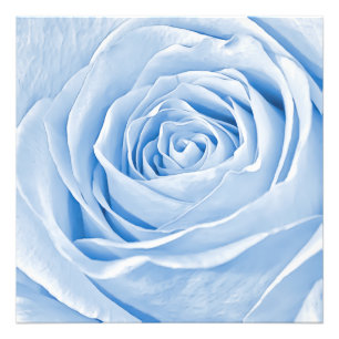 BlumenFoto-köstliche hellblaue Rose Fotodruck