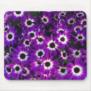 BlumenFoto Lila Landschaft Blume Mousepad