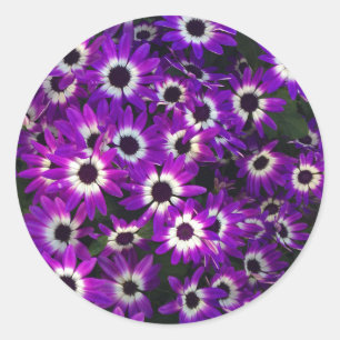 BlumenFoto Lila Petals Schwarz-weiße Blume Runder Aufkleber