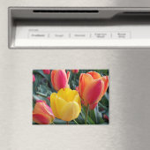 Blumenfoto Magnet (In Situ (Geschirrspüler))