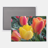 Blumenfoto Magnet (Vorderseite/Rückseite)