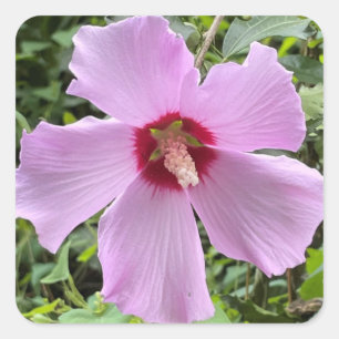 Blumenfoto Quadratischer Aufkleber