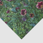 Blumenfoto-Seidenpapier Seidenpapier (Ausschnitt)