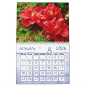 Blumenfotografie - Azoren Kalender (Jan 2026)