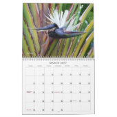 Blumenfotografie Blumenkalender Kalender (Mär 2027)