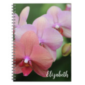 Blumenfotografie Elegante Rosa Orchideen Custom Notizblock (Vorderseite)