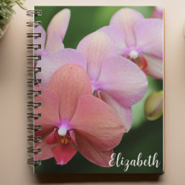 Blumenfotografie Elegante Rosa Orchideen Custom Notizblock