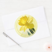Blumenfotografie Gelbe Daffodil Naturelepsie Runder Aufkleber (Umschlag)