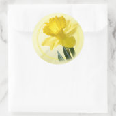 Blumenfotografie Gelbe Daffodil Naturelepsie Runder Aufkleber (Tasche)