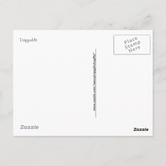 Blumenfotografie: Gelbe Frühlingsodien Postkarte (Rückseite)