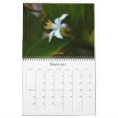 Blumenfotografie Kalender (Mär 2027)