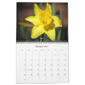 Blumenfotografie Kalender (Jan 2027)