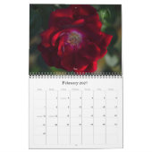 Blumenfotografie Kalender (Feb 2027)