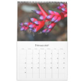 Blumenfotografie Kalender (Feb 2027)