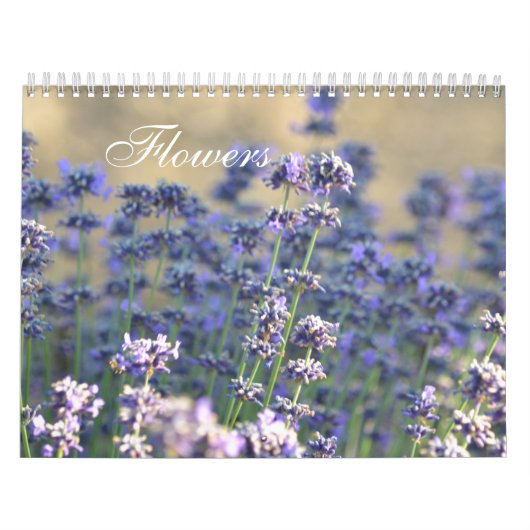Blumenfotografie Kalender (Titelbild)