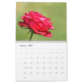 Blumenfotografie Kalender (Jan 2027)