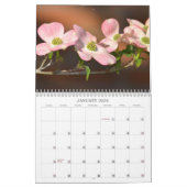 Blumenfotografie Kalender (Jan 2026)
