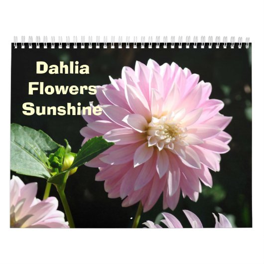 Blumenfotografie Kalender DAHLIA Blume Florenz (Titelbild)