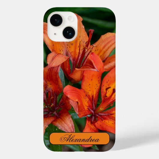 Blumenfotografie, kanadische Taglilie Case-Mate iPhone Hülle (Rückseite)