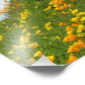 Blumenfotografie Orange Poppy Blume Fotodruck (Ecke)