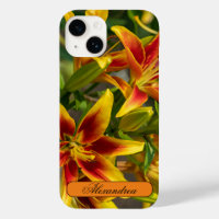 Blumenfotografie, orange und gelbe Taglilie