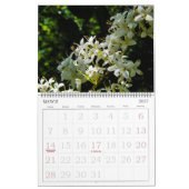 Blumenfotografie Wall Calendar Kalender (Mär 2027)