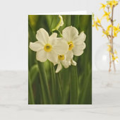 Blumenfotografie:  Weißer Frühling Karte (Gelbe Blume)