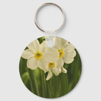 Blumenfotografie: Weißer Frühling Narzisse