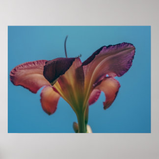 Blumenfotografieposter vor blauem Himmel Poster