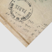 Blumenfranzösisch Vintag Blue Pink Ephemera Decoup Seidenpapier (Ausschnitt)