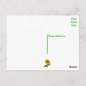 Blumenfrass Geburtstag Gelbe Sonnenblume Blume Postkarte (Rückseite)