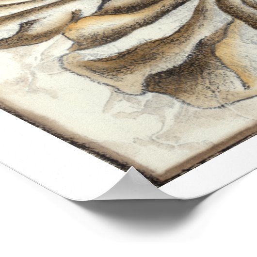 Blumenfresco auf Tan Hintergrund Poster (Ecke)